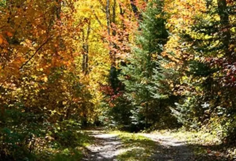 Leech Lake Resort Bed & Breakfast