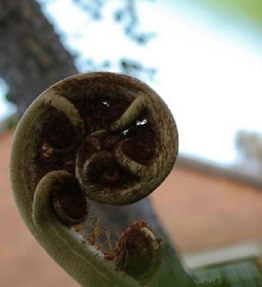 Pension Khutse Guest House