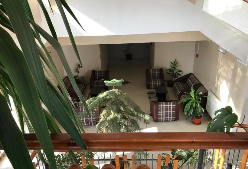 هاستل Zormaris M