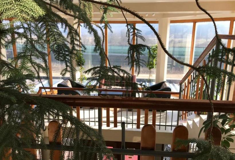 هاستل Zormaris M