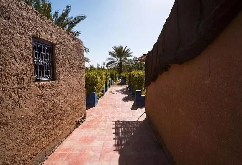 هاستل Paradis Touareg