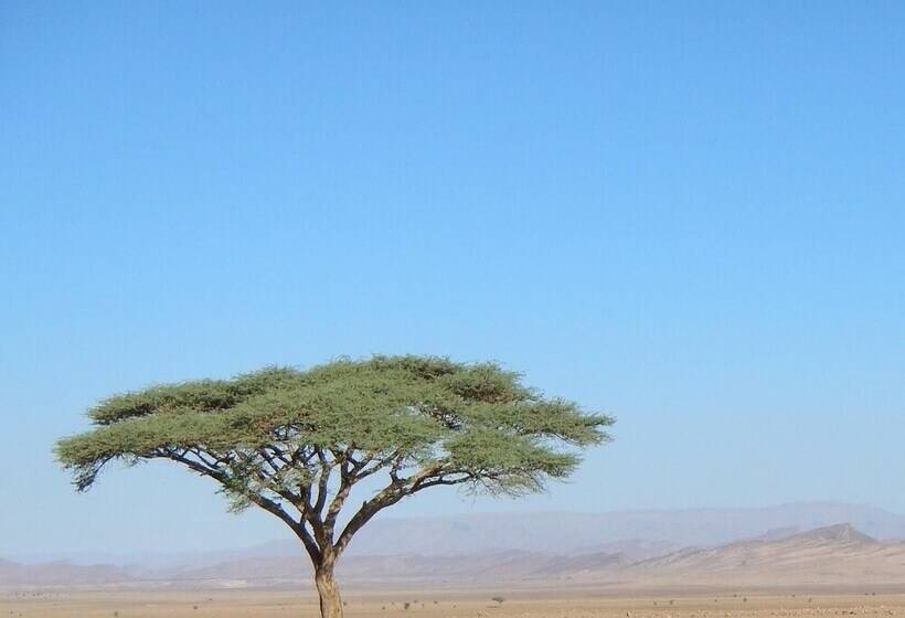 هاستل Paradis Touareg