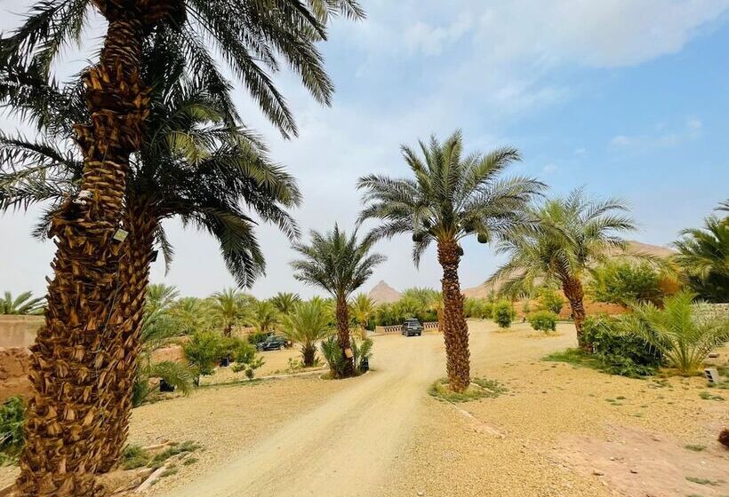 هاستل Paradis Touareg