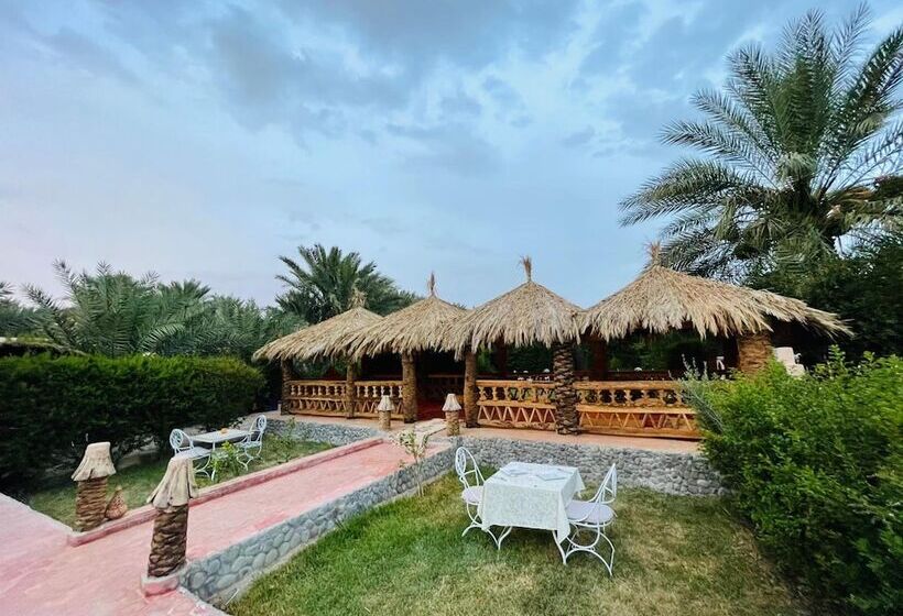 هاستل Paradis Touareg