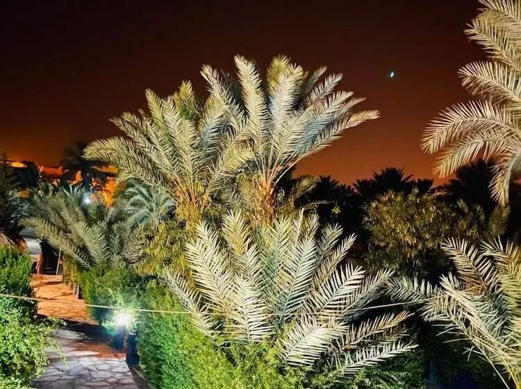 هاستل Paradis Touareg