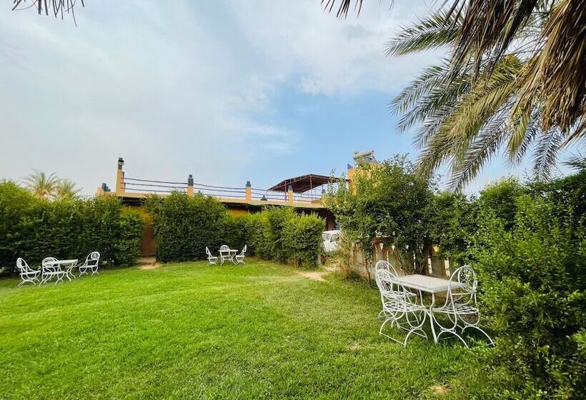 هاستل Paradis Touareg