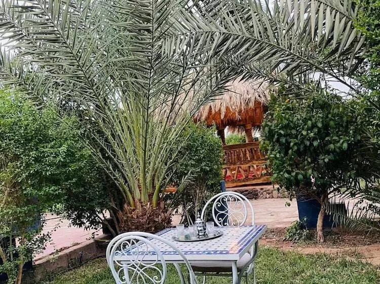 هاستل Paradis Touareg