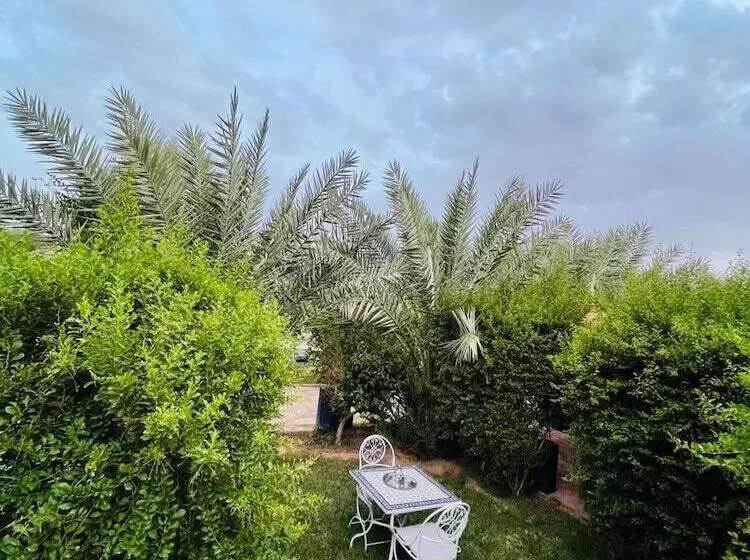 هاستل Paradis Touareg