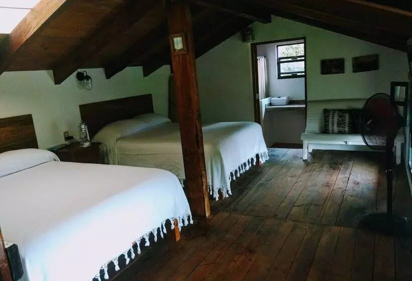 Cămin Posada La Vereda