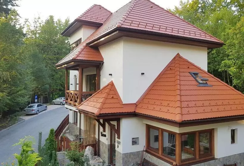 پانسیون Alfinio Villa