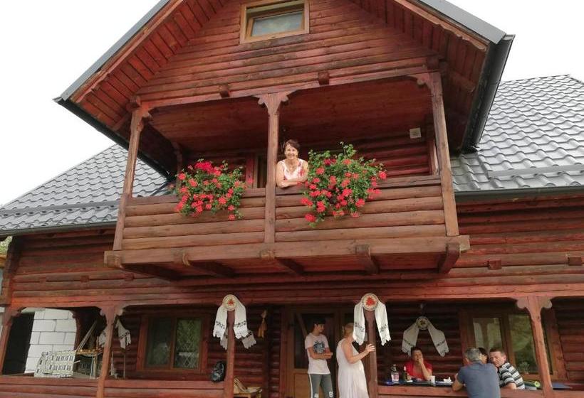 Пансион Cabana Ocna Mesaros