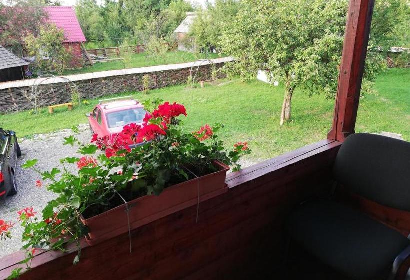 Пансион Cabana Ocna Mesaros