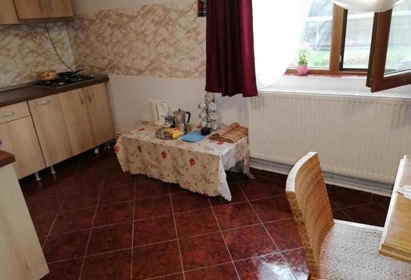 Пансион Cabana Ocna Mesaros