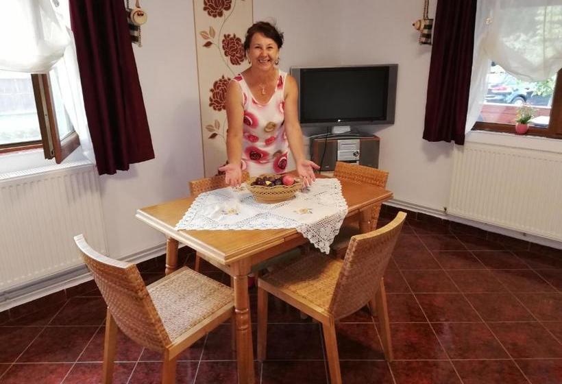 Пансион Cabana Ocna Mesaros