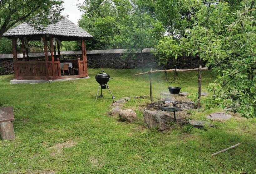 Пансион Cabana Ocna Mesaros