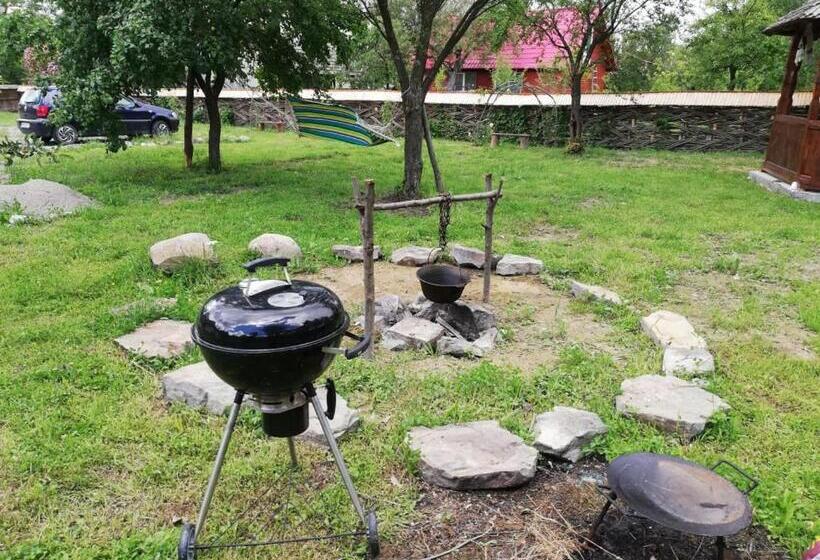 Пансион Cabana Ocna Mesaros