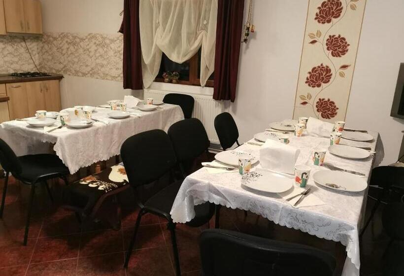 Пансион Cabana Ocna Mesaros