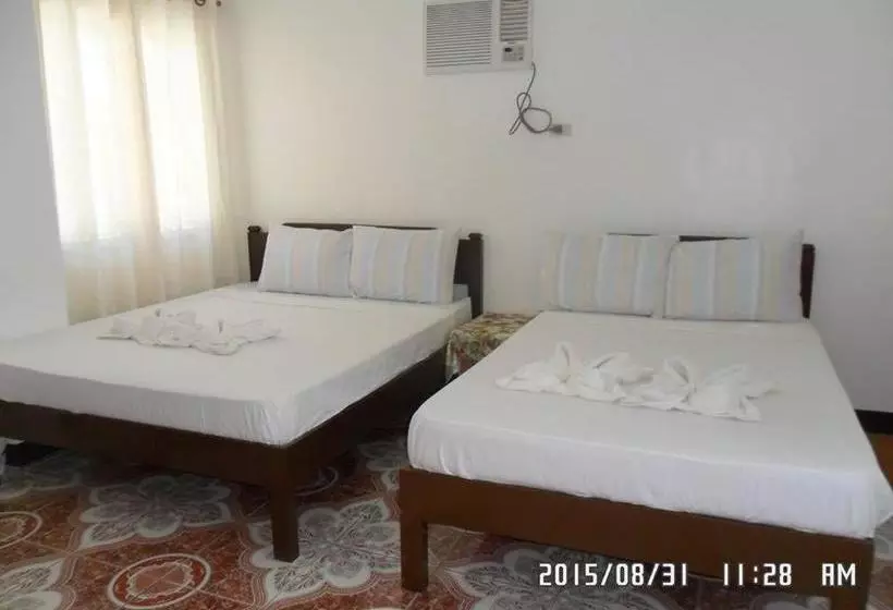 ユースホステル Nanette's Tourist Inn