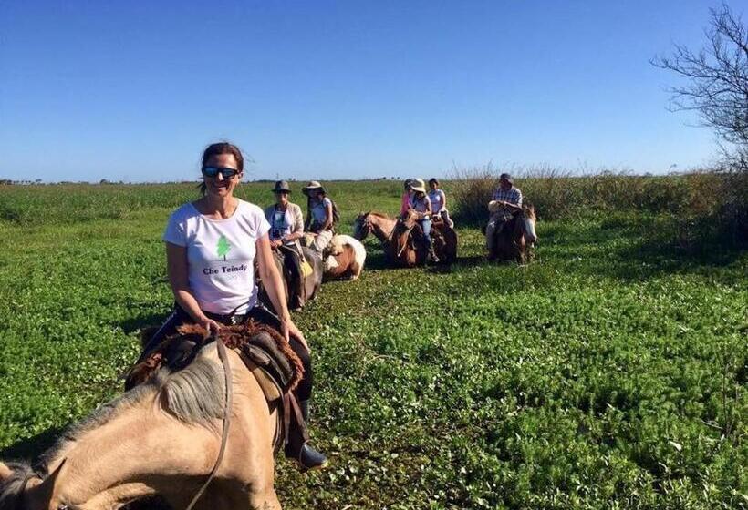Hostel Posada Che Teindy