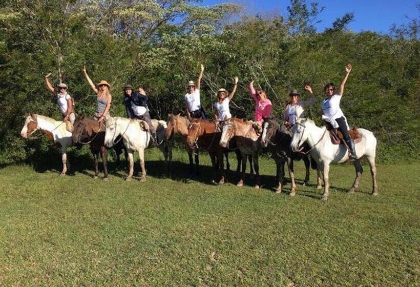 Hostel Posada Che Teindy