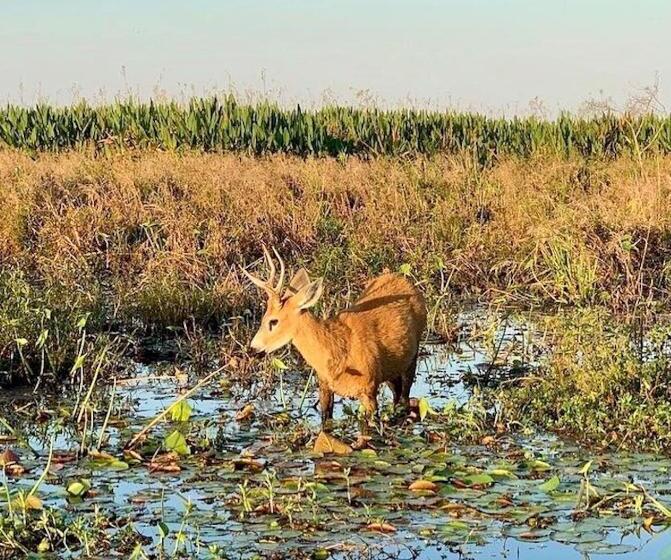 Hostel Posada Che Teindy