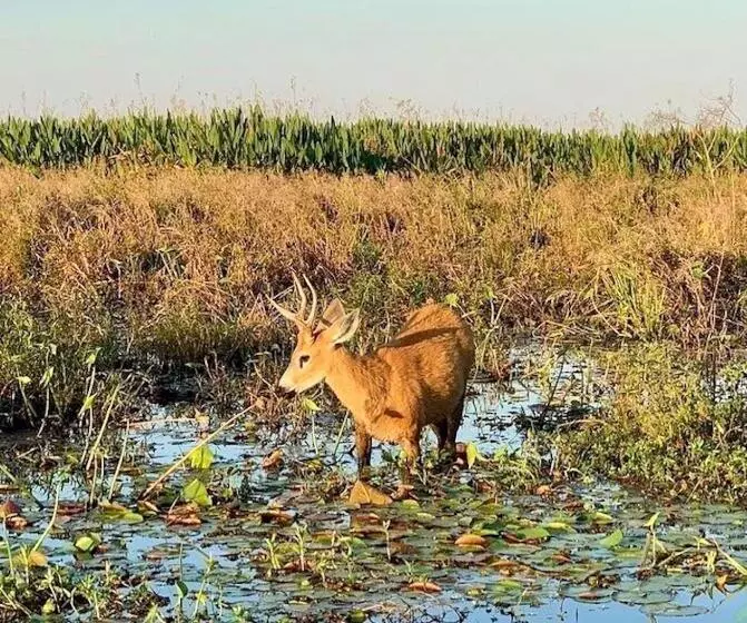 ユースホステル Posada Che Teindy