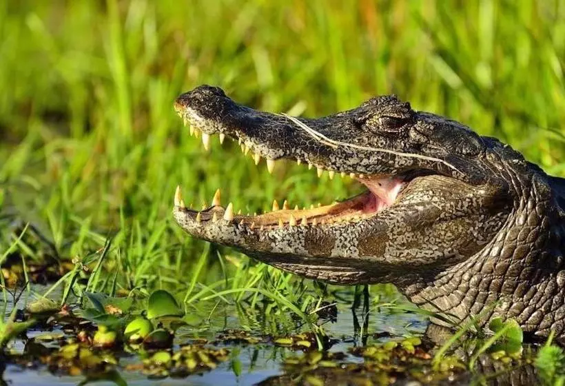 ユースホステル Posada Che Teindy