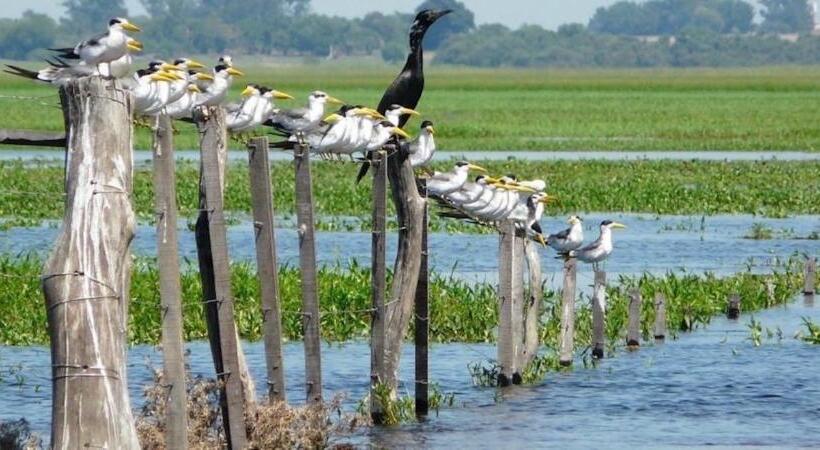 Hostel Posada Che Teindy