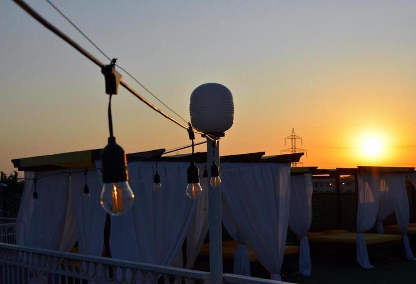 پانسیون Timona Confort