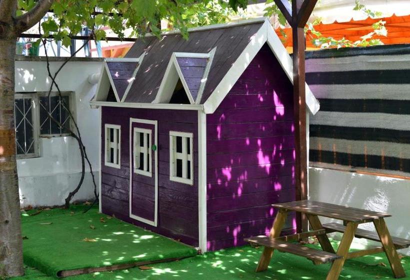 پانسیون Timona Confort