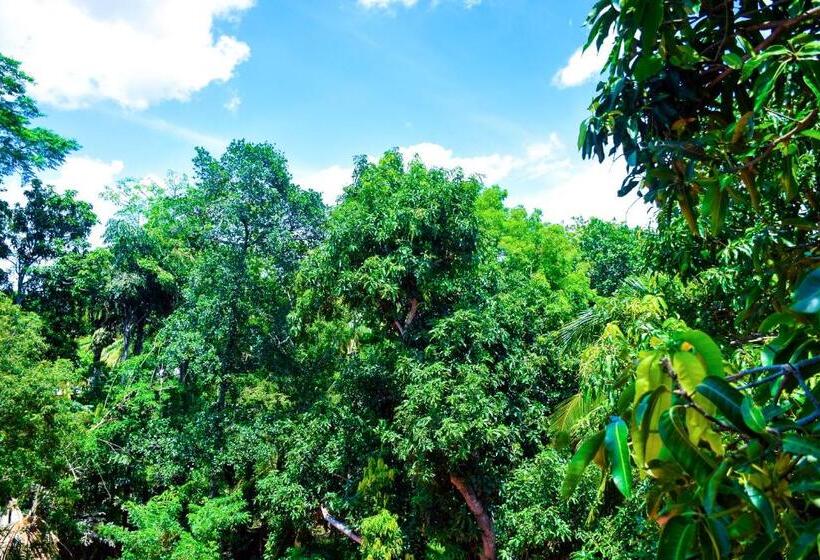 فندق صغير Vishmee Holiday Inn