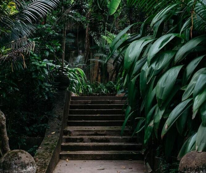 بنسيون Boutique 87