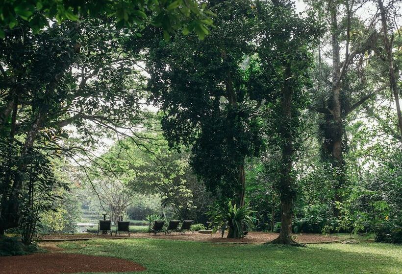 بنسيون Boutique 87