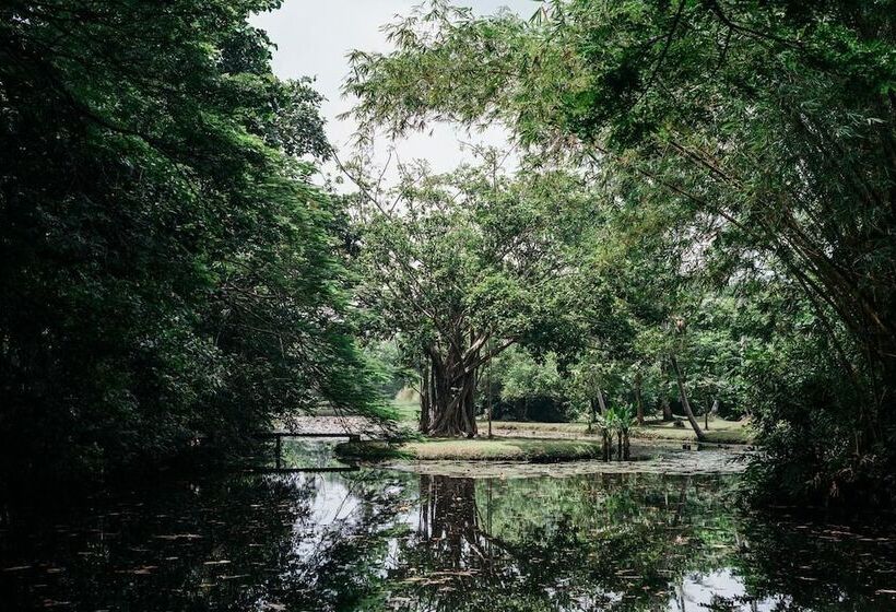 بنسيون Boutique 87