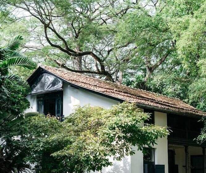 بنسيون Boutique 87