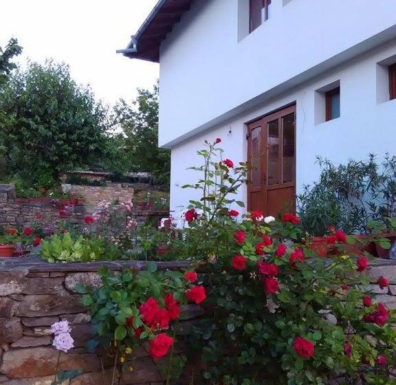 פנסיון Fenix Rooms