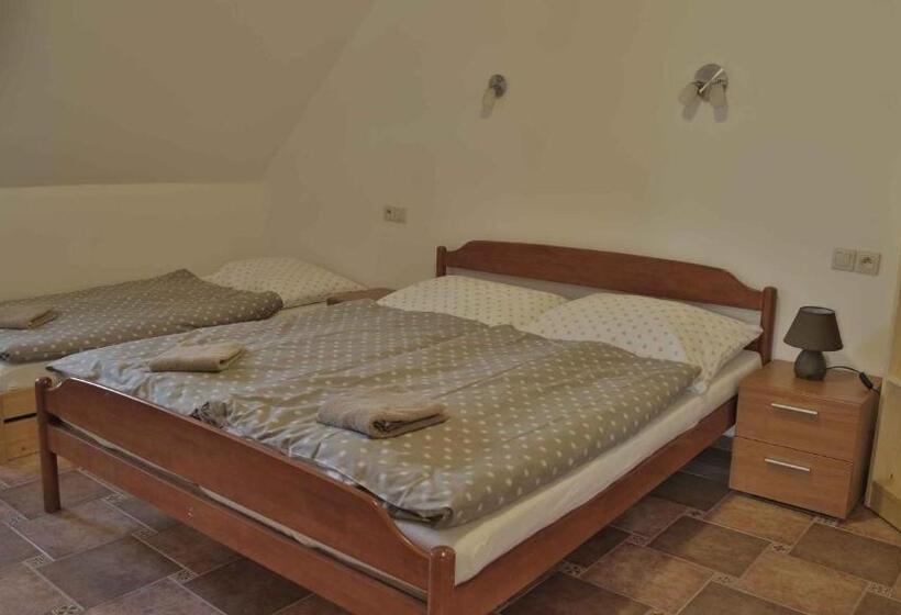 Panzió Penzion Ostruznik