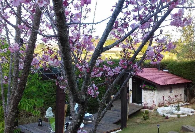 Pension Pousada Toca Dos Tucanos