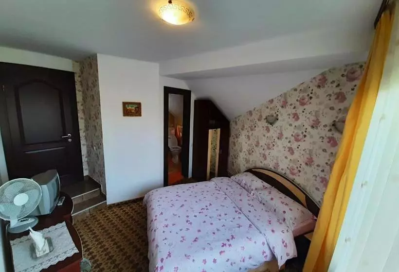 Pensiune Vila Nicolai