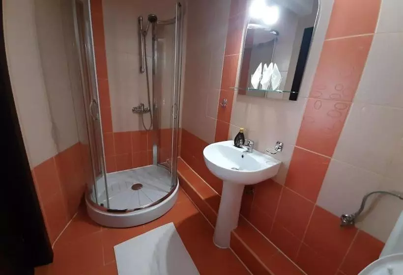 Pensiune Vila Nicolai