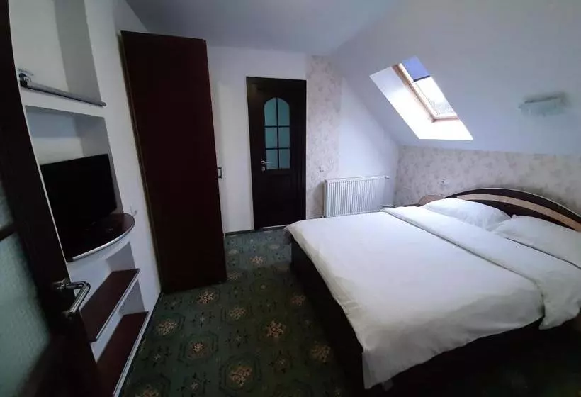 Pensiune Vila Nicolai