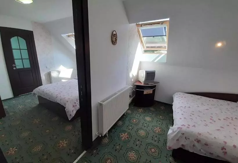 Pensiune Vila Nicolai