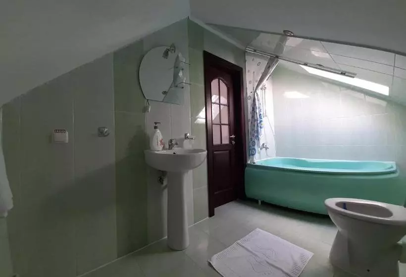 Pensiune Vila Nicolai