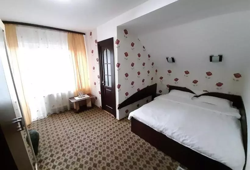 Pensiune Vila Nicolai