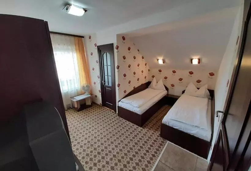 Pensiune Vila Nicolai