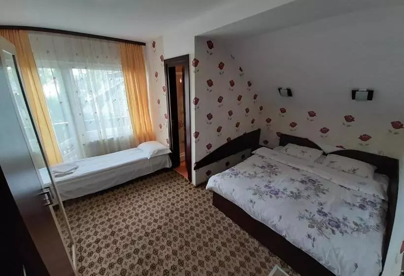 Pensiune Vila Nicolai