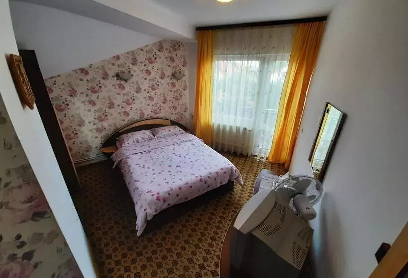 Pensiune Vila Nicolai