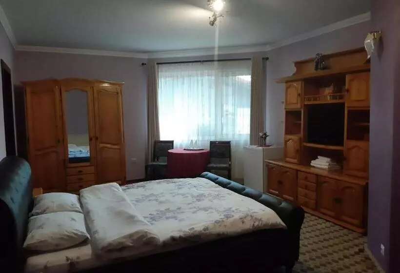 Pensiune Vila Nicolai