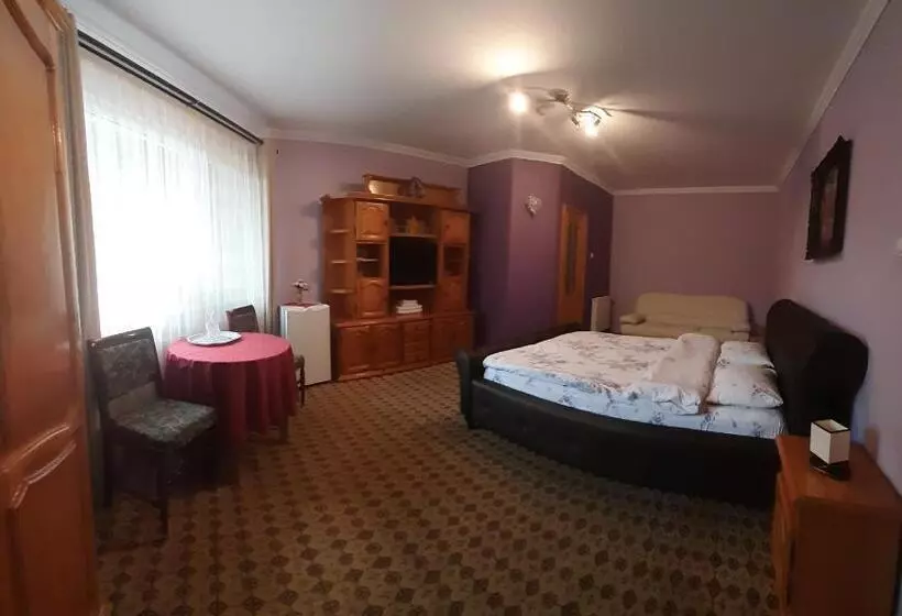 Pensiune Vila Nicolai