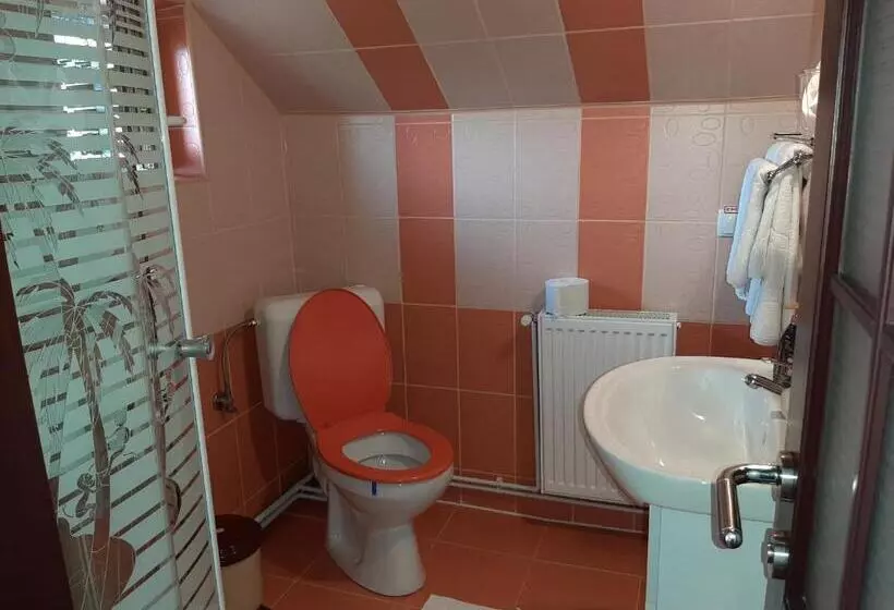 Pensiune Vila Nicolai